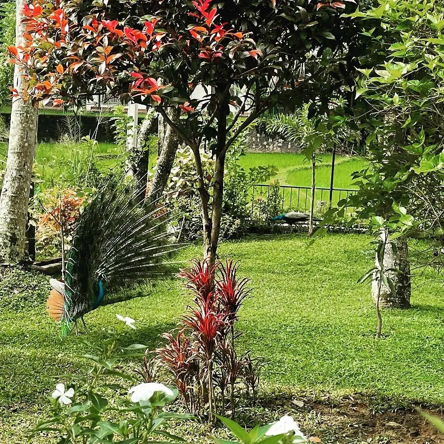 Vila Surveyor'S Residence Bungalow Kandy