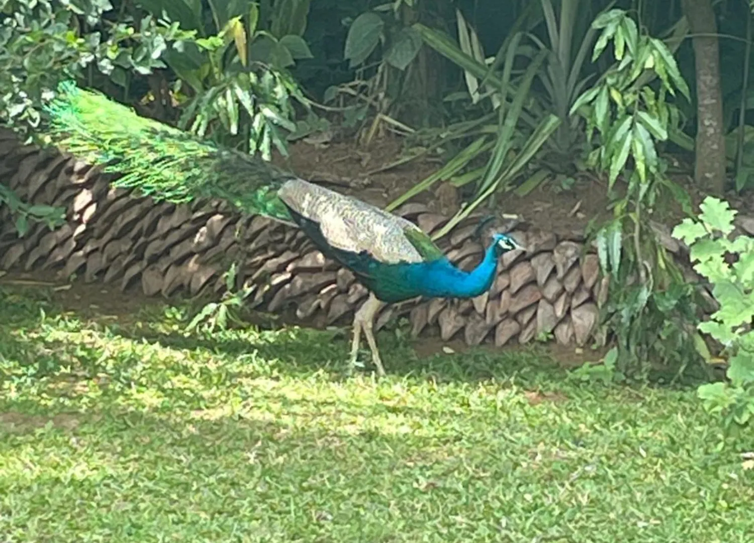 Surveyor'S Residence Bungalow Kandy
